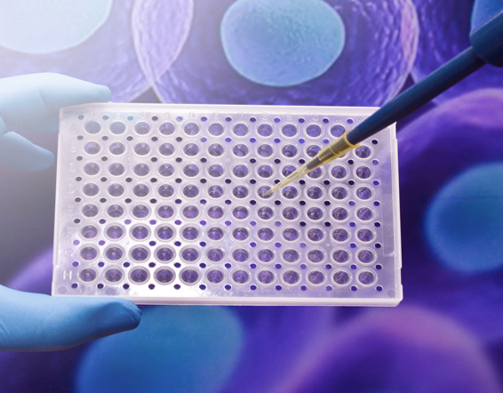 Assay Development And Validation