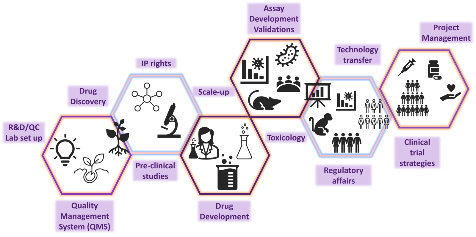 Drug development pathway